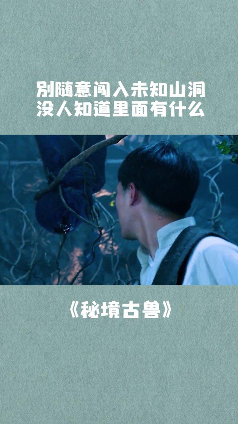 惠来这两人,无证驾驶,无戴头盔被抓...